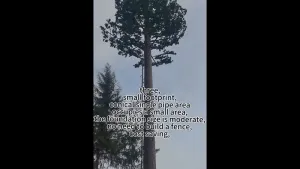 Torre camuflada