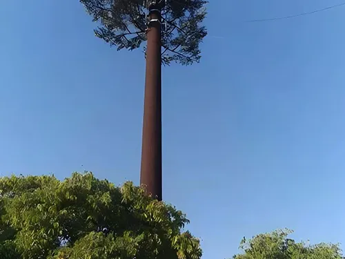 Torre de pino de 25m