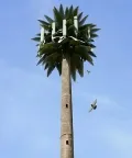 Torre de comunicaciones camuflada (Torre de palmera)