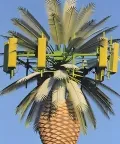 Torre de comunicaciones camuflada (Torre de palmera)