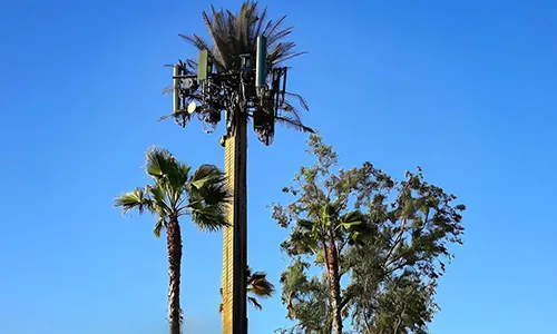 Torre de comunicaciones camuflada (Torre de palmera)