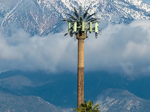 Torre de palmeras instalada en zona de gran altitud