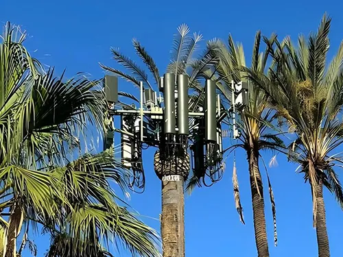 Torre de palmeras instalada en un parque público