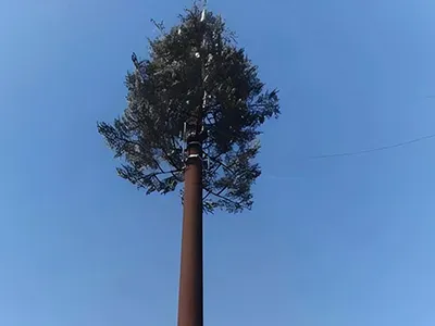 Torre de pino de 25m