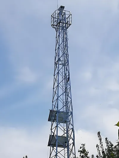 Torre de vigilancia